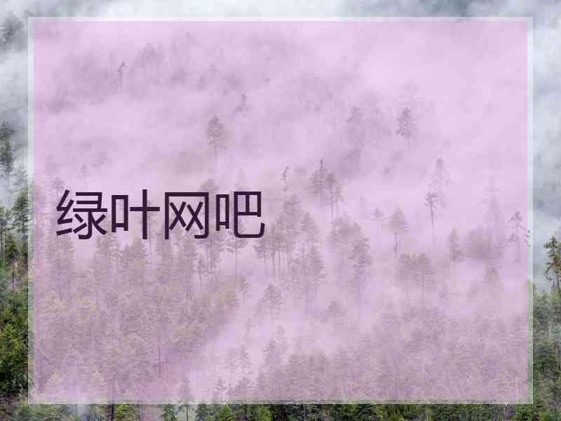 绿叶网吧