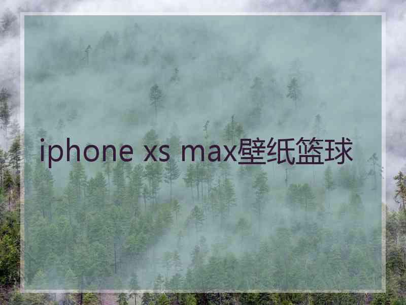 iphone xs max壁纸篮球