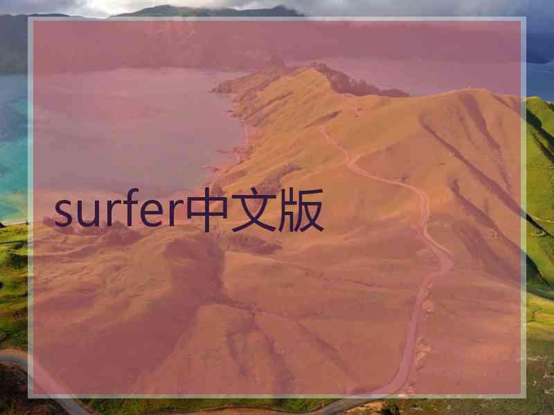 surfer中文版