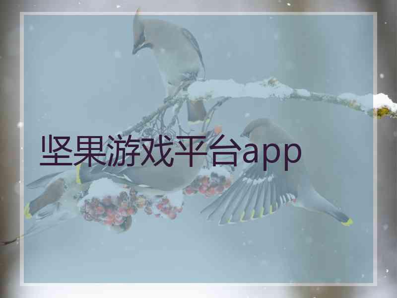 坚果游戏平台app