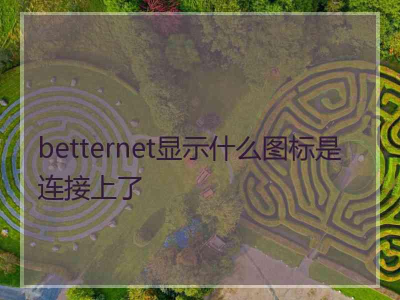 betternet显示什么图标是连接上了