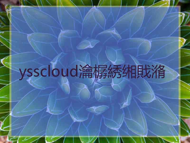 ysscloud瀹樼綉缃戝潃