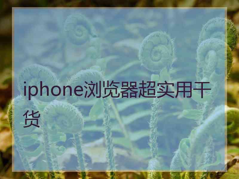 iphone浏览器超实用干货