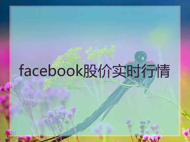 facebook股价实时行情