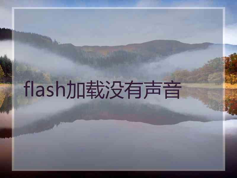 flash加载没有声音