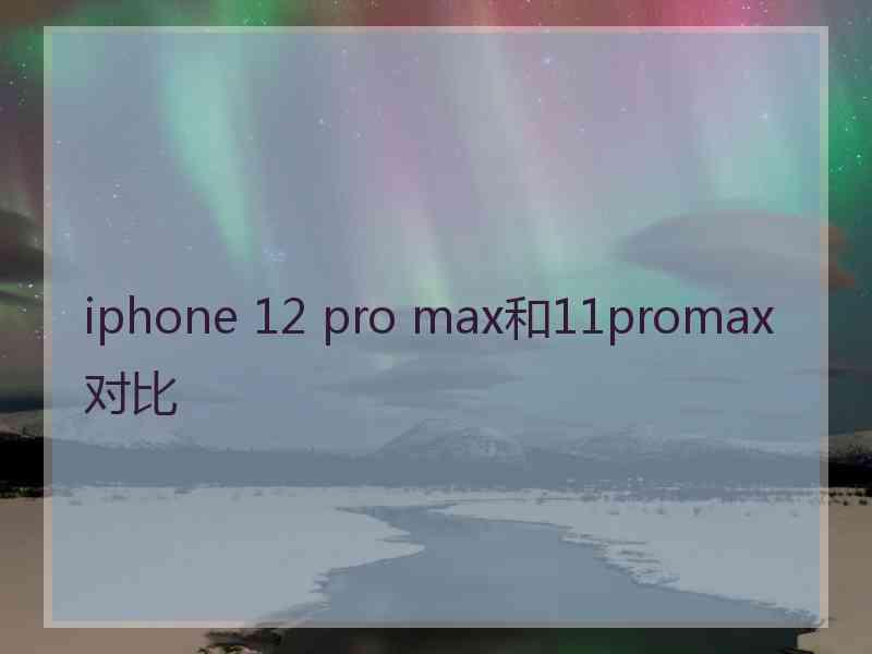 iphone 12 pro max和11promax对比