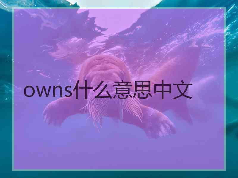 owns什么意思中文