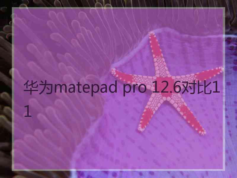 华为matepad pro 12.6对比11