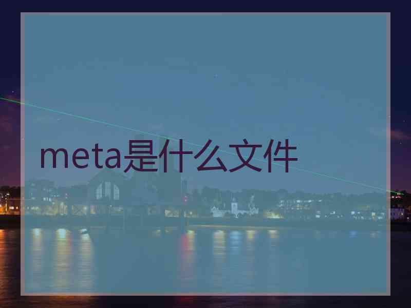 meta是什么文件