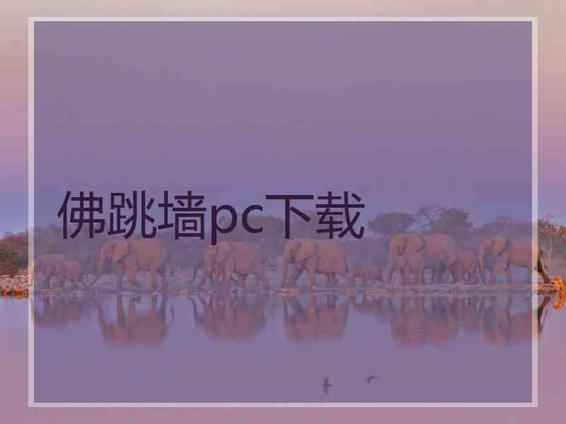 佛跳墙pc下载