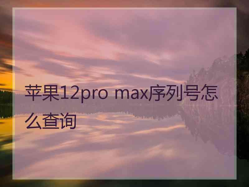 苹果12pro max序列号怎么查询