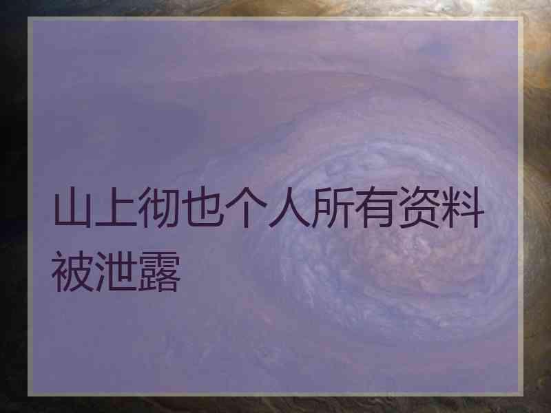 山上彻也个人所有资料被泄露