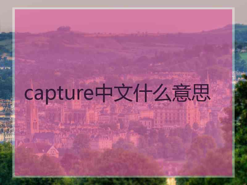 capture中文什么意思