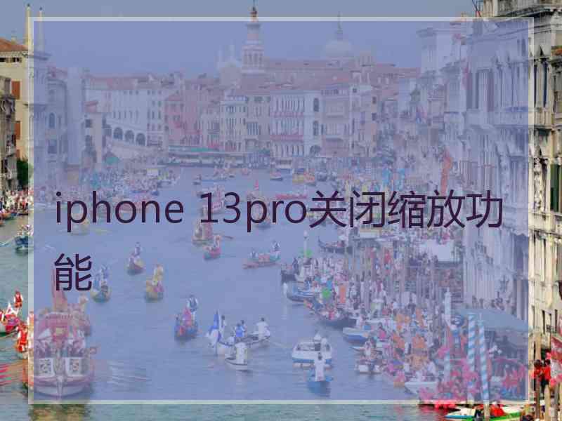 iphone 13pro关闭缩放功能