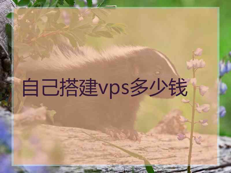 自己搭建vps多少钱