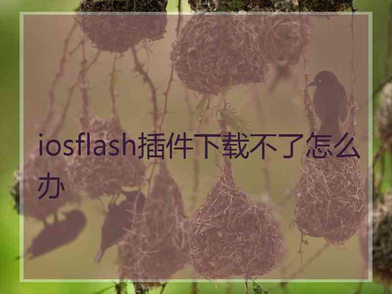 iosflash插件下载不了怎么办