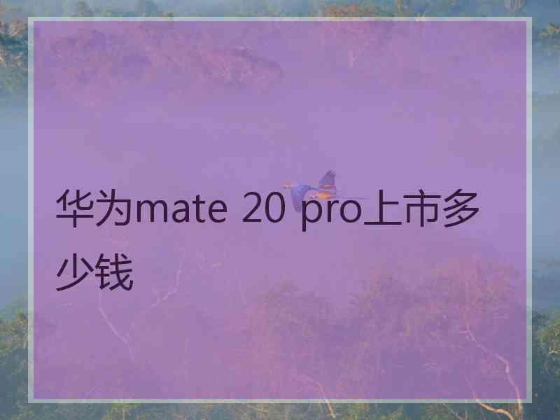 华为mate 20 pro上市多少钱