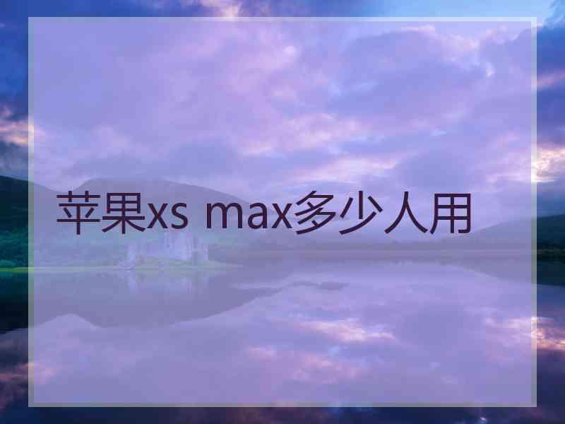 苹果xs max多少人用