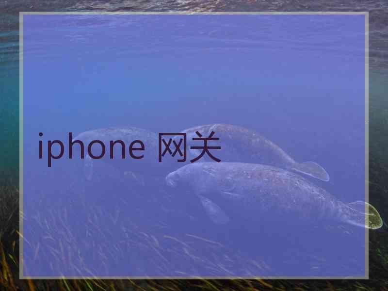 iphone 网关