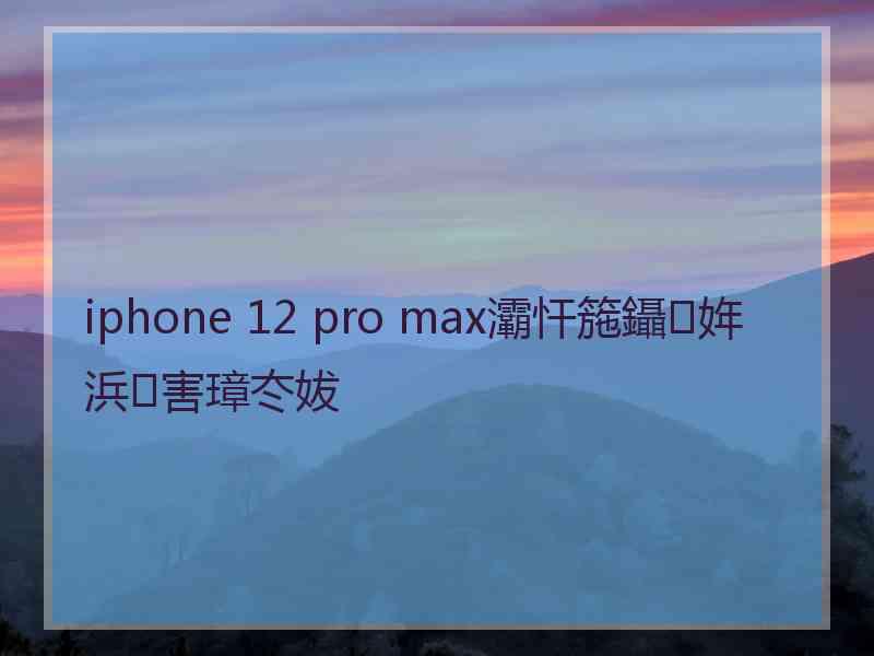 iphone 12 pro max灞忓箷鑷姩浜害璋冭妭