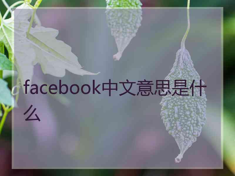 facebook中文意思是什么