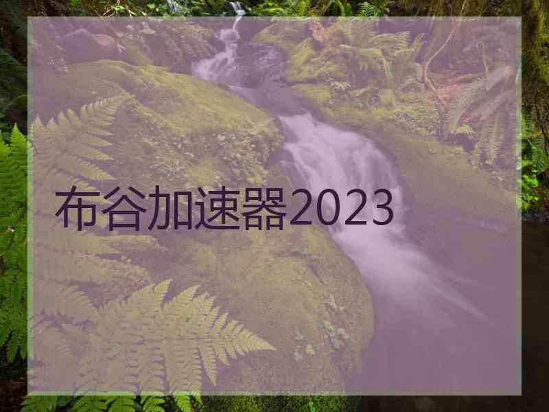 布谷加速器2023