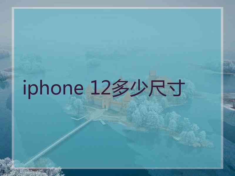 iphone 12多少尺寸