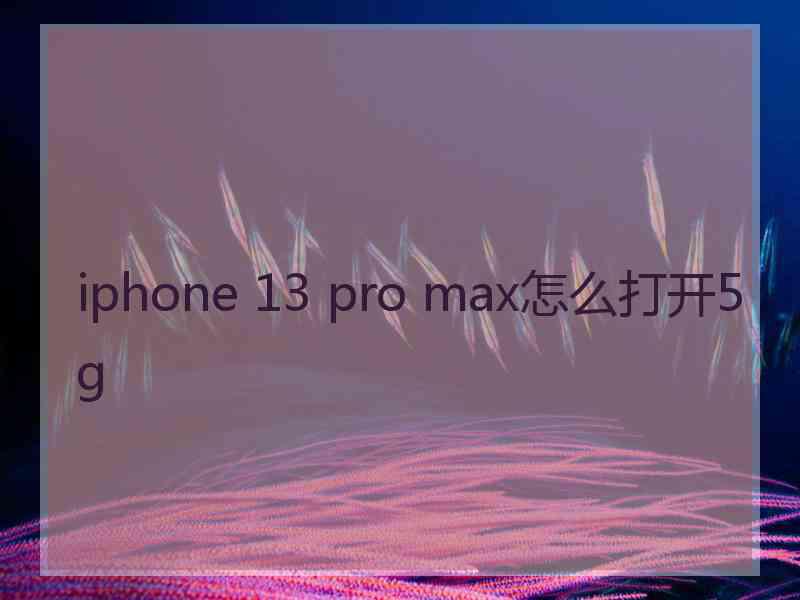 iphone 13 pro max怎么打开5g