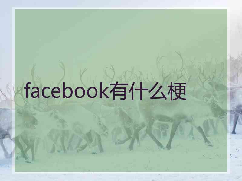 facebook有什么梗