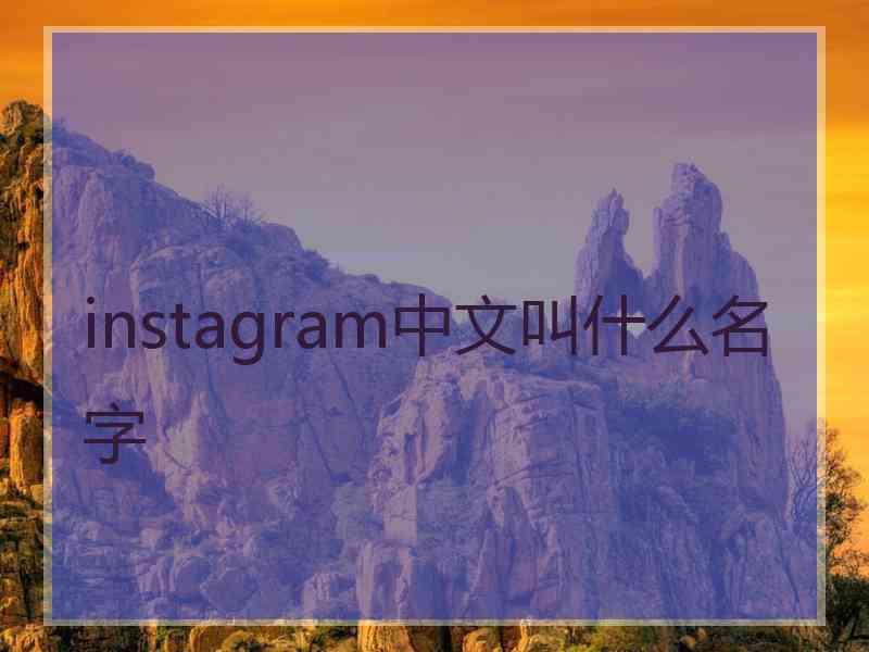 instagram中文叫什么名字