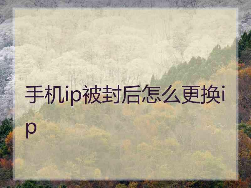 手机ip被封后怎么更换ip