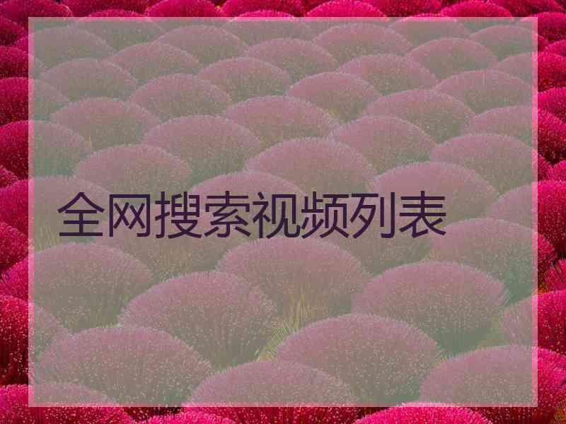 全网搜索视频列表