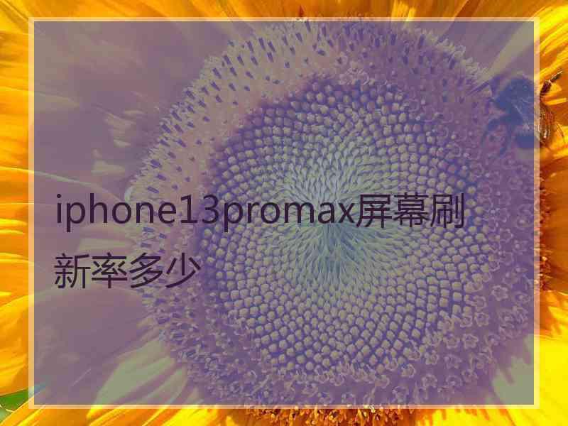 iphone13promax屏幕刷新率多少