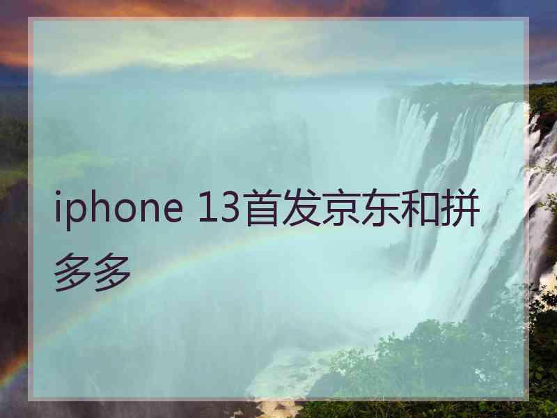 iphone 13首发京东和拼多多