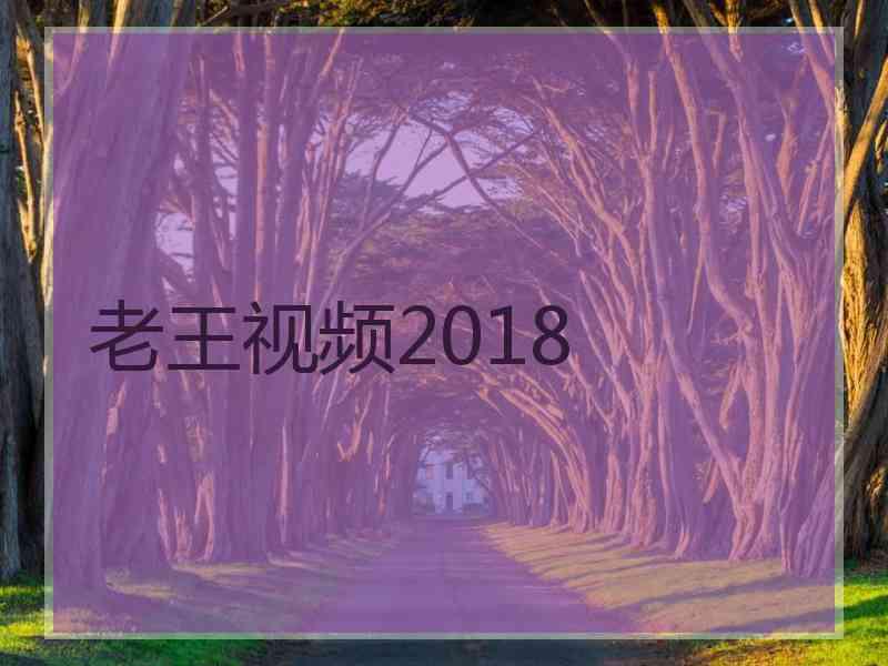 老王视频2018