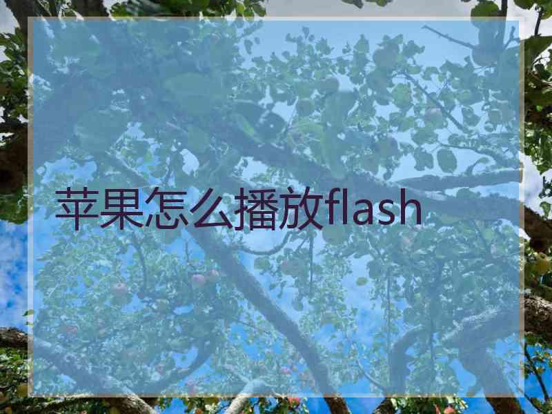 苹果怎么播放flash