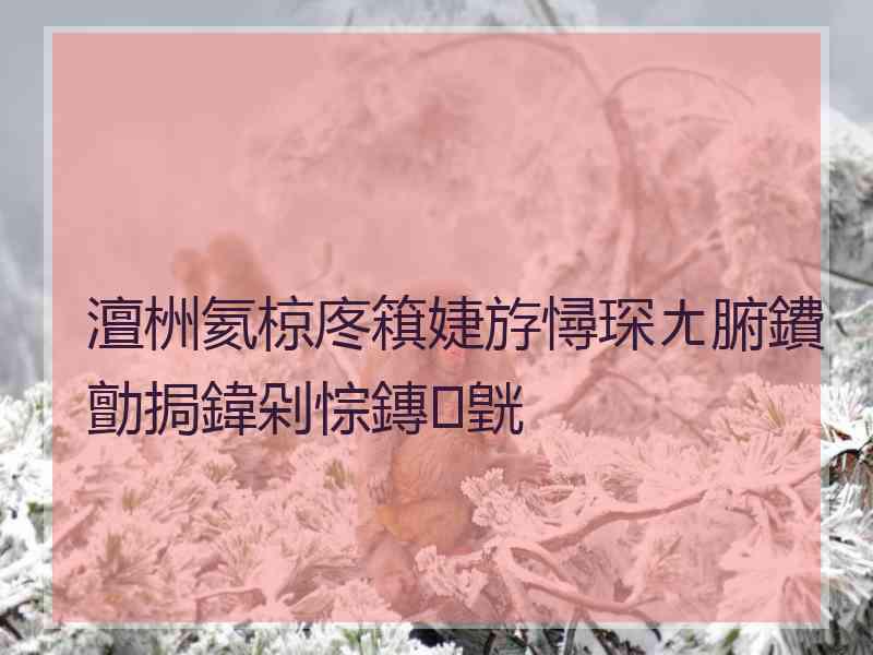 澶栦氦椋庝簯婕斿憳琛ㄤ腑鐨勯挶鍏剁悰鏄皝