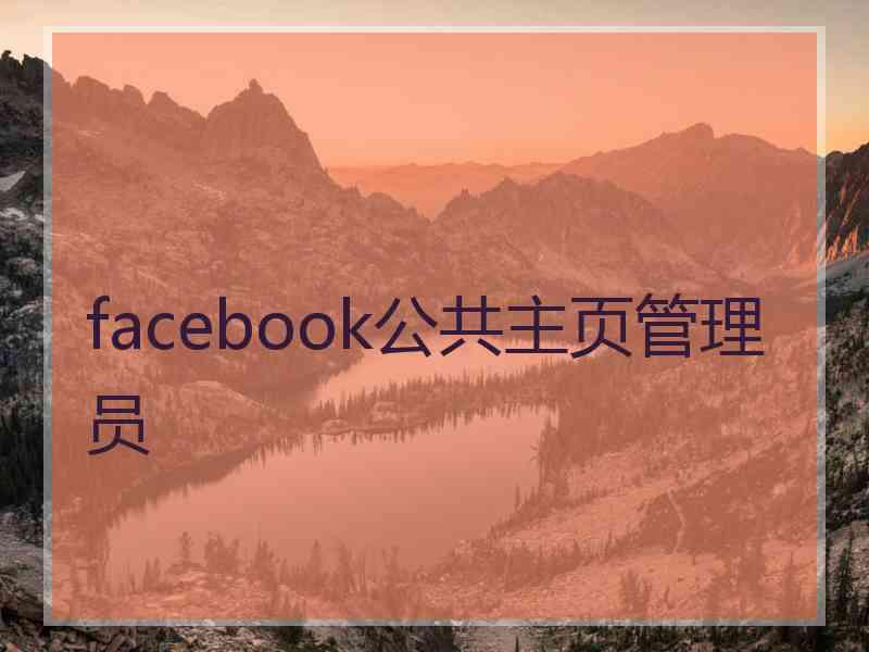 facebook公共主页管理员