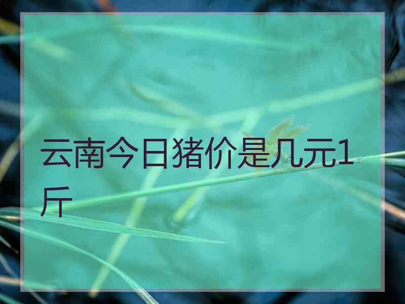 云南今日猪价是几元1斤