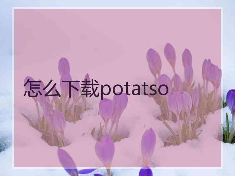 怎么下载potatso