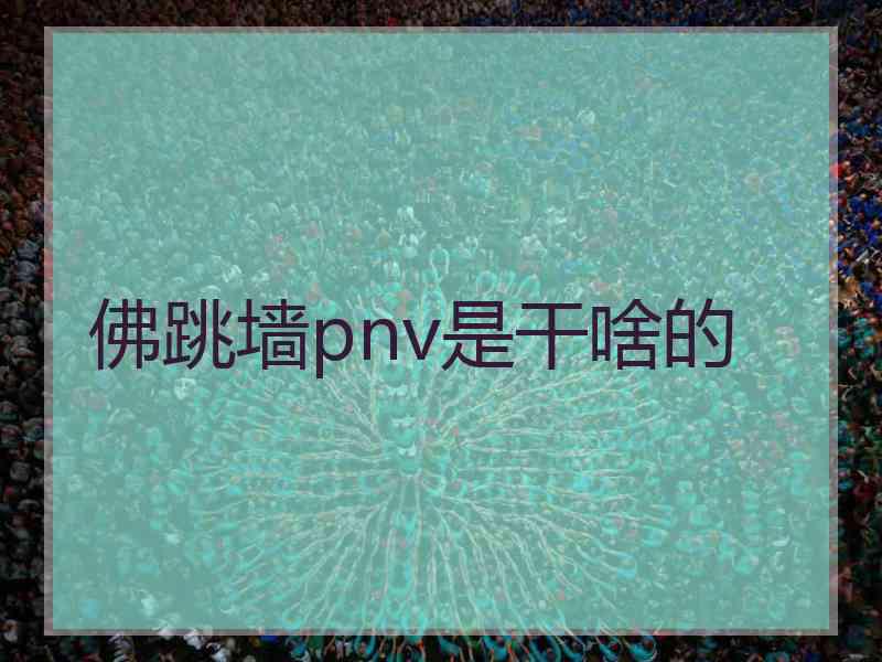 佛跳墙pnv是干啥的