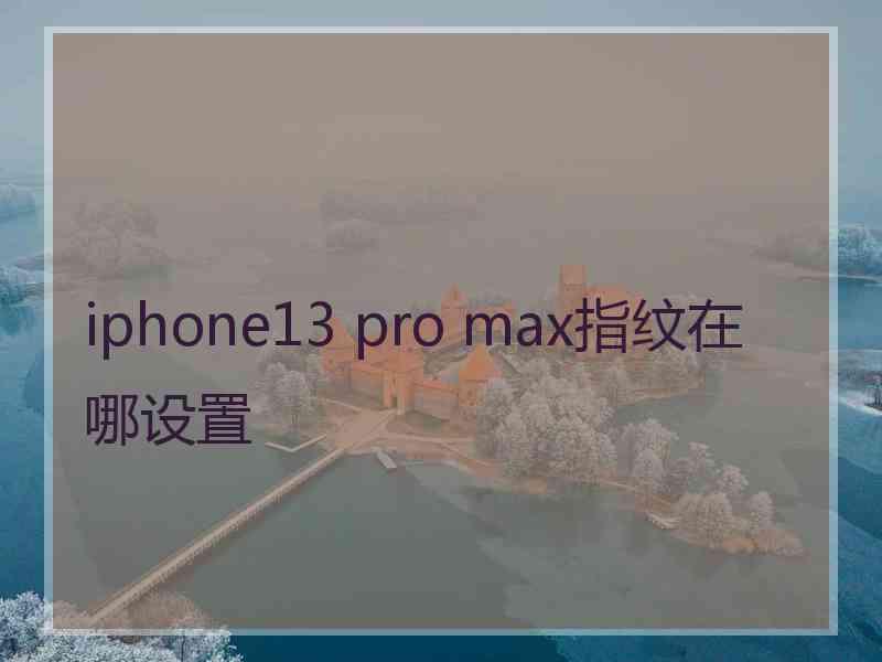 iphone13 pro max指纹在哪设置