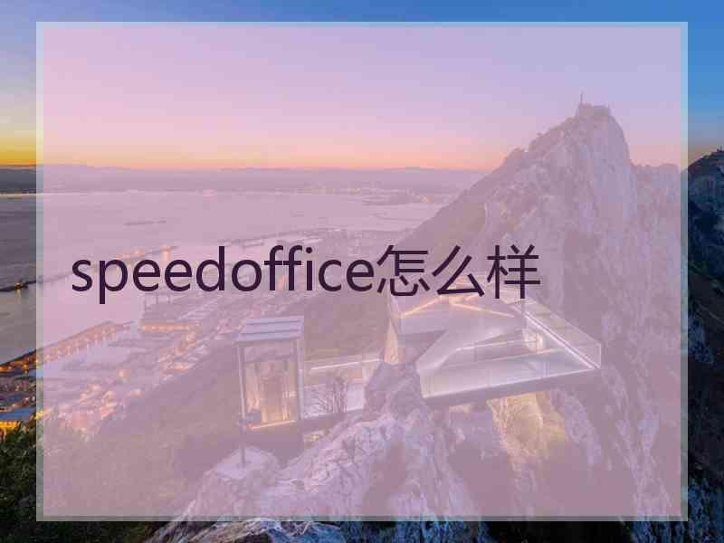 speedoffice怎么样