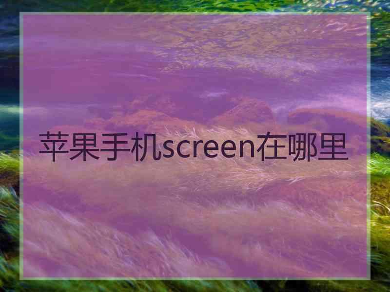 苹果手机screen在哪里