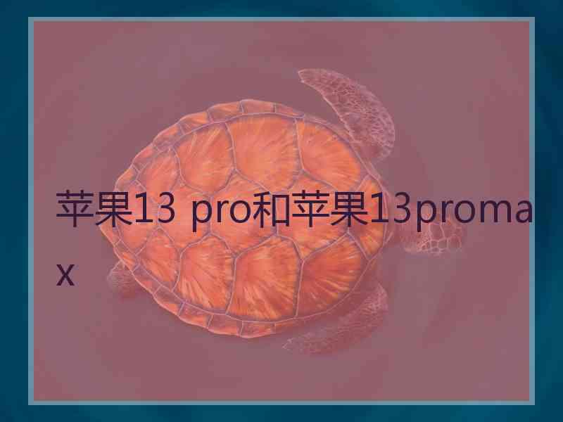 苹果13 pro和苹果13promax