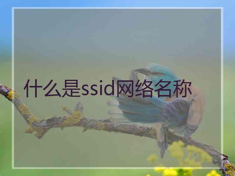 什么是ssid网络名称