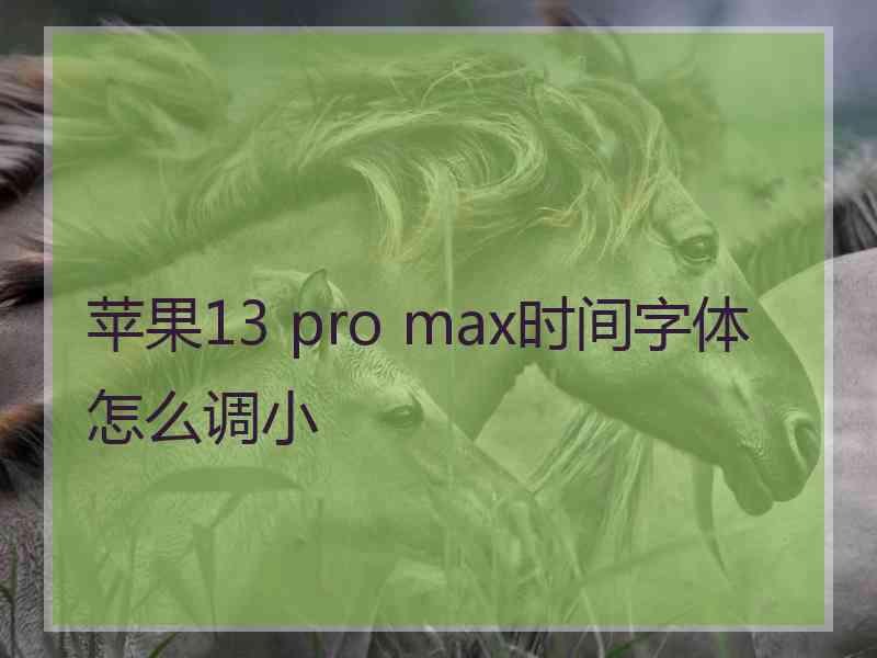 苹果13 pro max时间字体怎么调小