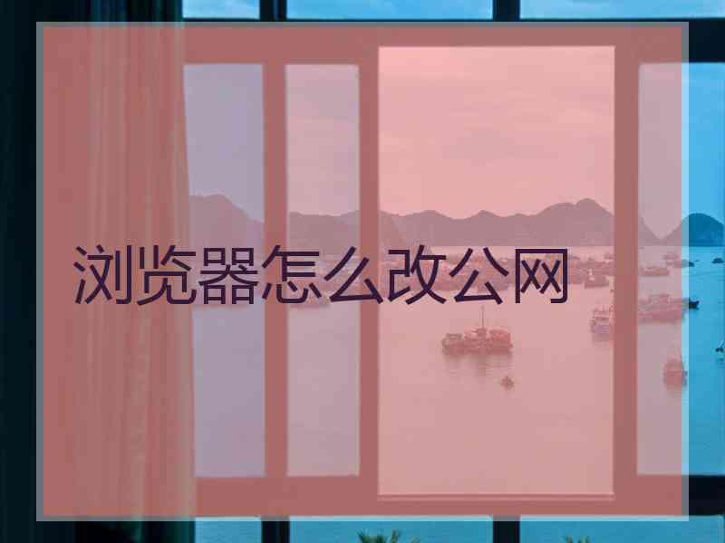 浏览器怎么改公网