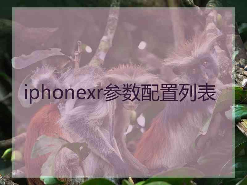 iphonexr参数配置列表