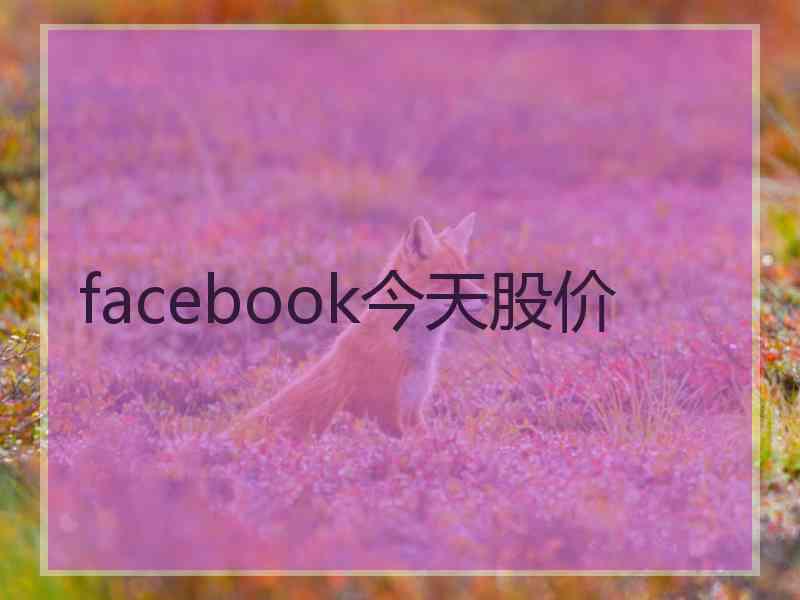 facebook今天股价